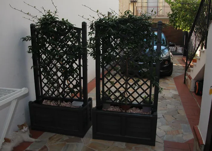 Al Vicoletto Praia a Mare