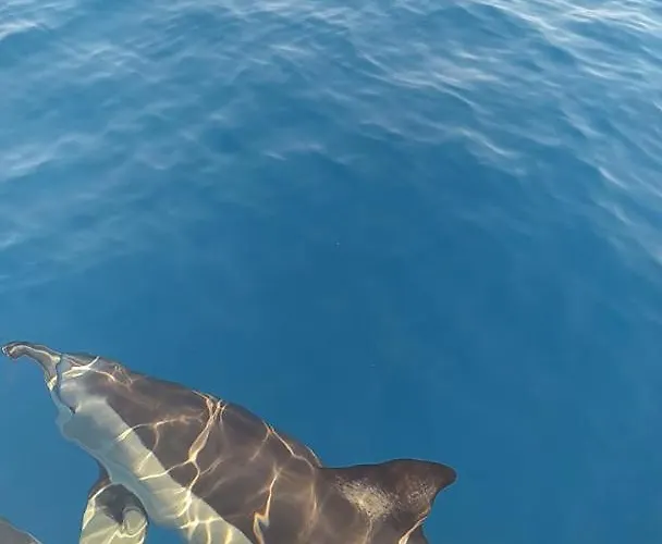 Al Vicoletto Apartmán Praia a Mare